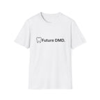 Future DMD