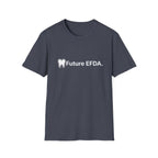 Future EFDA