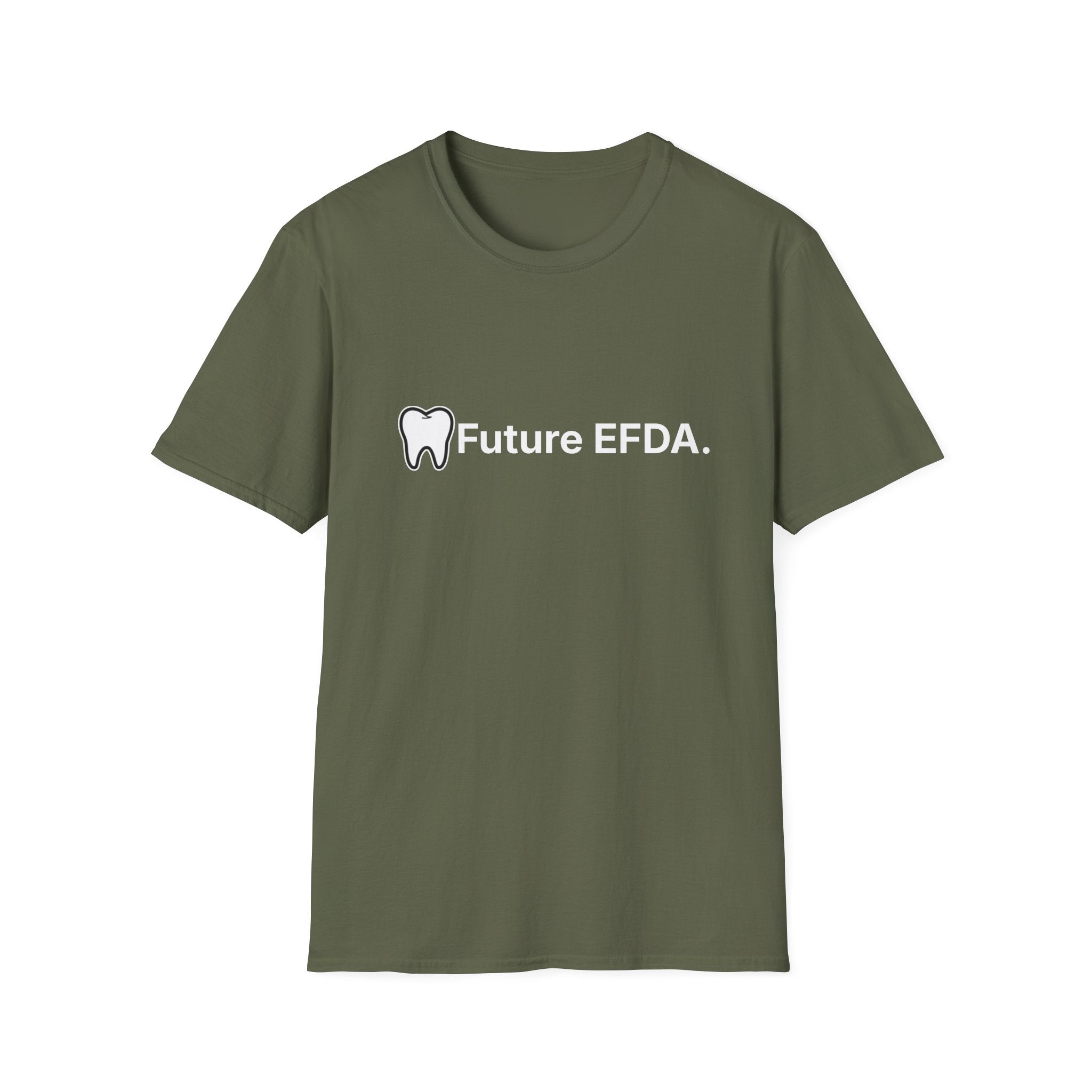 Future EFDA