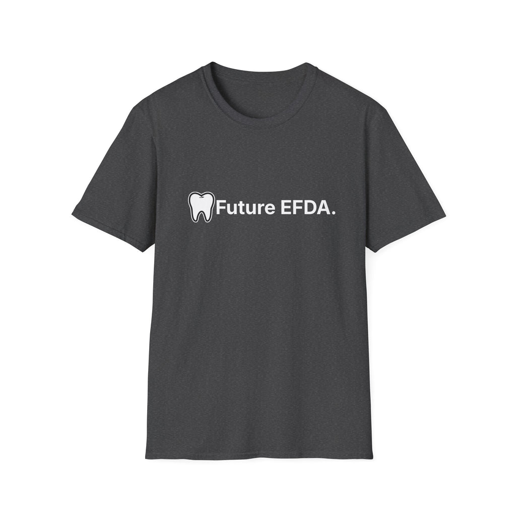 Future EFDA