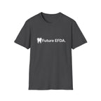 Future EFDA