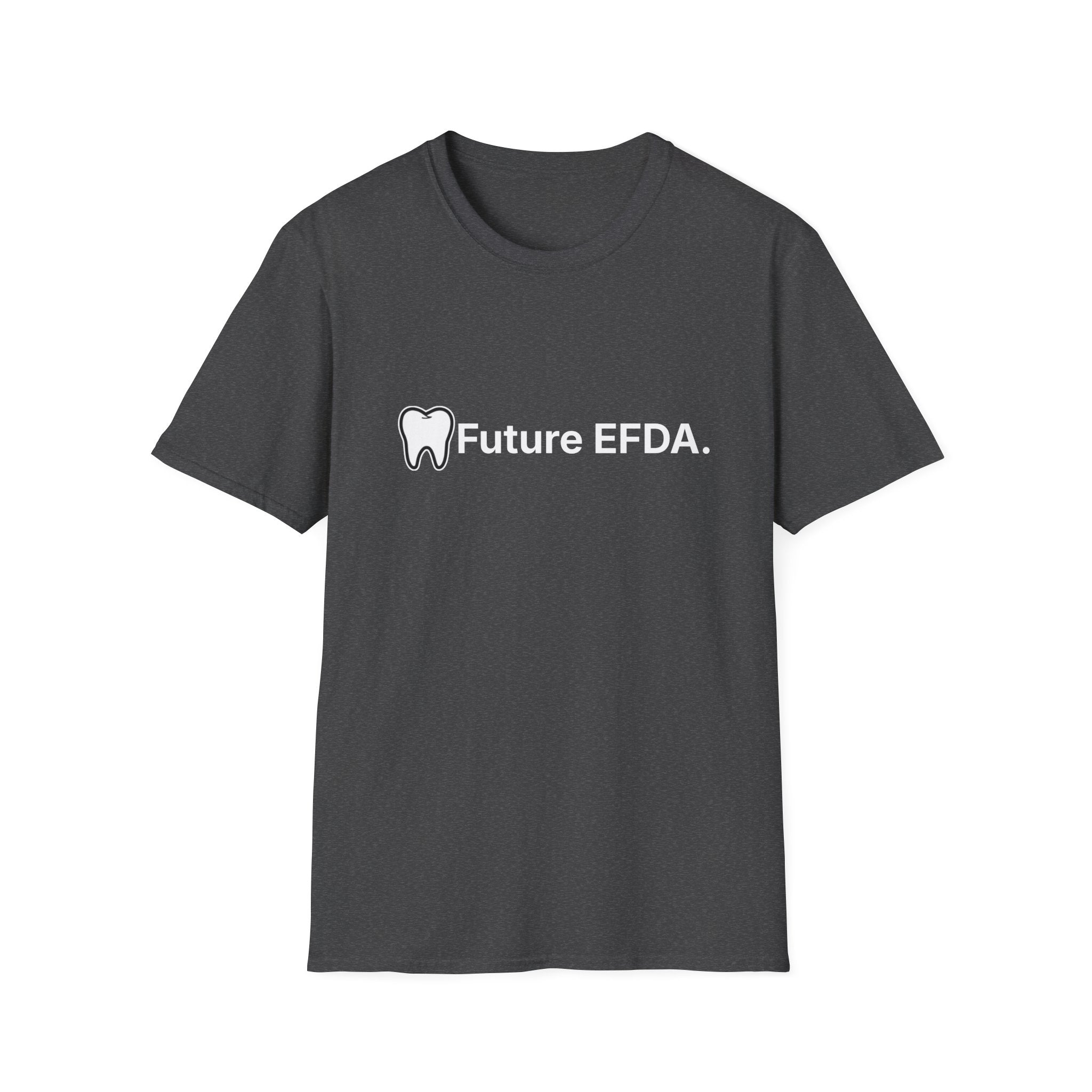 Future EFDA