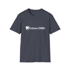 Future DMD